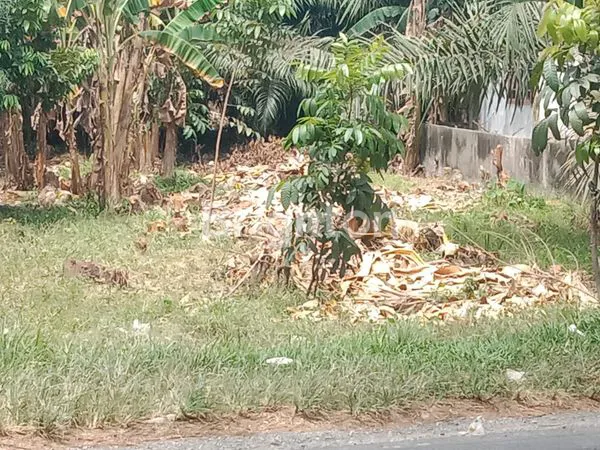 image TANAH STRATEGIS 1.675M² DI HINAI, DEKAT JALAN LINTAS (2)