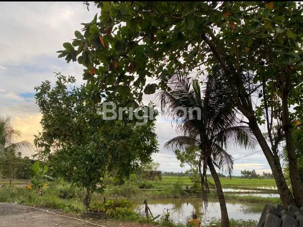 image TANAH LUAS PINGGIR JALAN RAYA KOTA PADANG (5)