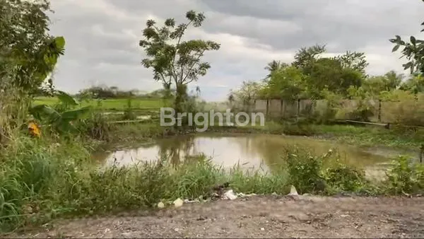 image TANAH LUAS PINGGIR JALAN RAYA KOTA PADANG (3)