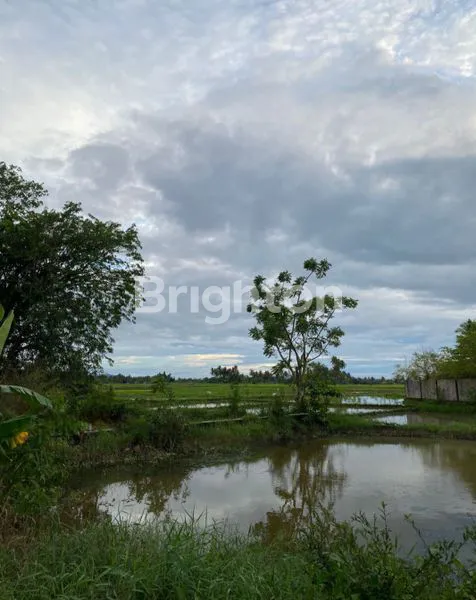 image TANAH LUAS PINGGIR JALAN RAYA KOTA PADANG (6)