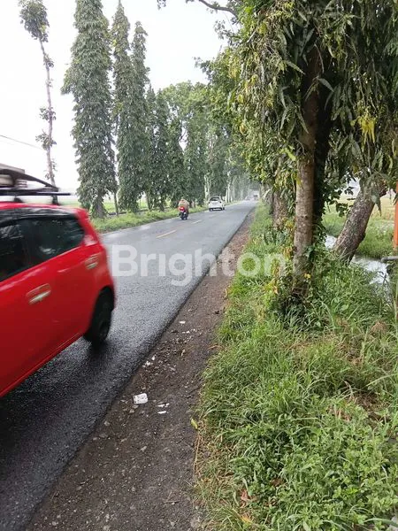 image JUAL GUDANG POROS JALAN MALANG - BLITAR (5)