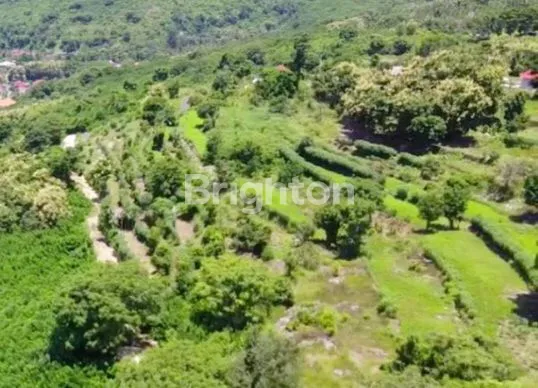 image TANAH LUAS 1980M² DI NUSA PENIDA, COCOK INVESTASI (1)
