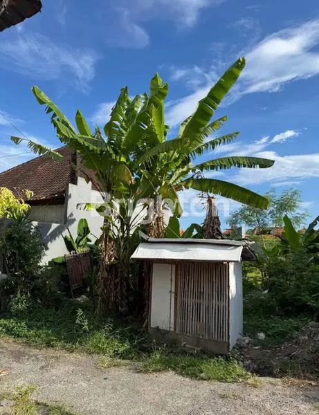 image TANAH PLOT KECIL DI DENPASAR TIMUR DEKAT LIVING WORLD (3)