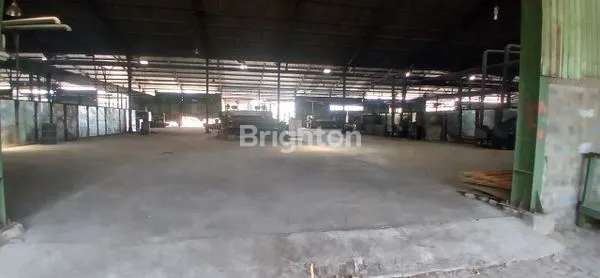 image JUAL EX PABRIK PLYWOOD PROBOLINGGO (4)