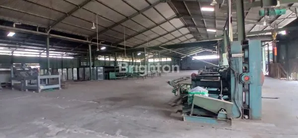 image JUAL EX PABRIK PLYWOOD PROBOLINGGO (6)