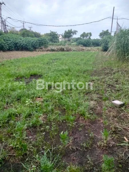 image TANAH STRATEGIS 11 ARE DI BYPASS SANUR, DEKAT PELABUHAN (1)