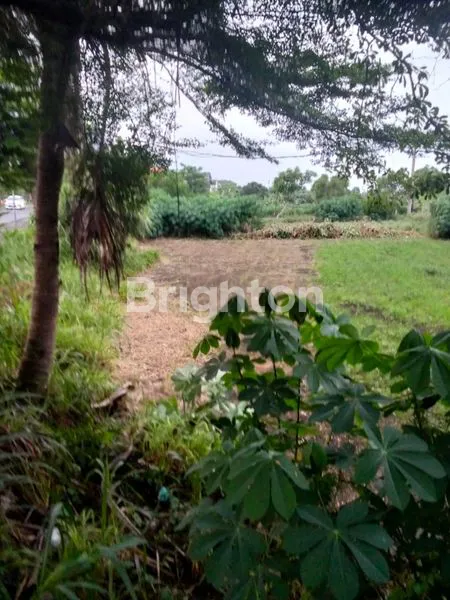 image TANAH STRATEGIS 11 ARE DI BYPASS SANUR, DEKAT PELABUHAN (6)