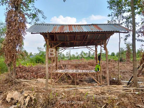 image TANAH DIJUAL (1)