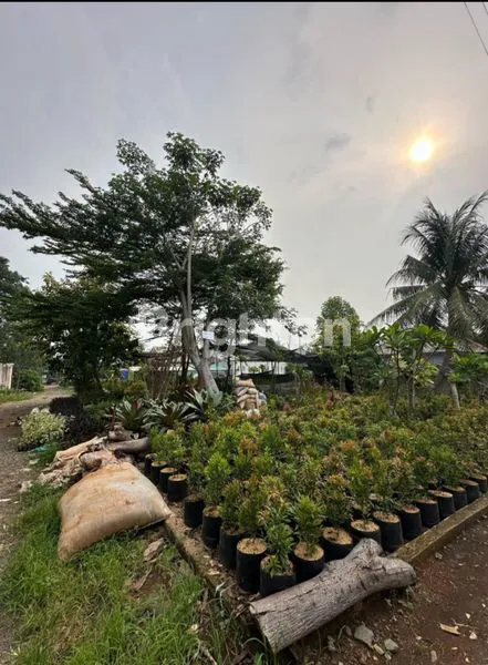 image TANAH MURAH LUAS 300M² SHM DI CURUG DEPOK, HARGA NEGO (1)