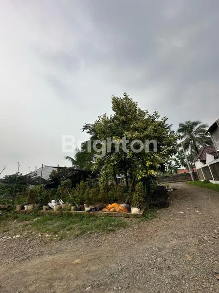 image TANAH MURAH LUAS 300M² SHM DI CURUG DEPOK, HARGA NEGO (3)