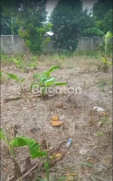 image TANAH LUAS 1.320M² DI CIKUNIR RAYA, COCOK INVESTASI (6)