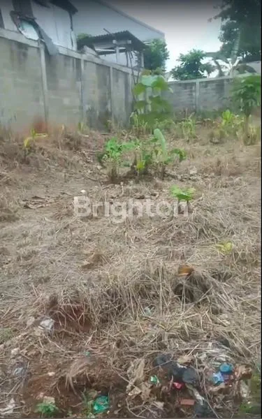 image TANAH LUAS 1.320M² DI CIKUNIR RAYA, COCOK INVESTASI (8)