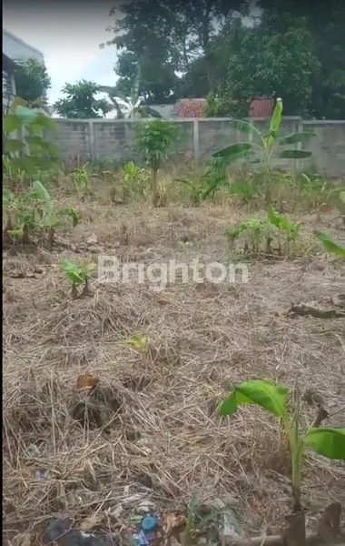 image TANAH LUAS 1.320M² DI CIKUNIR RAYA, COCOK INVESTASI (5)