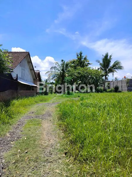 image TANAH KAVLING SHM KETAPANG BANYUWANGI  (2)