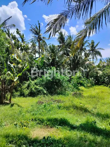 image TANAH KAVLING SHM KETAPANG BANYUWANGI  (7)