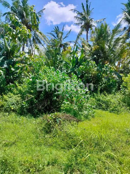 image TANAH KAVLING SHM KETAPANG BANYUWANGI  (5)