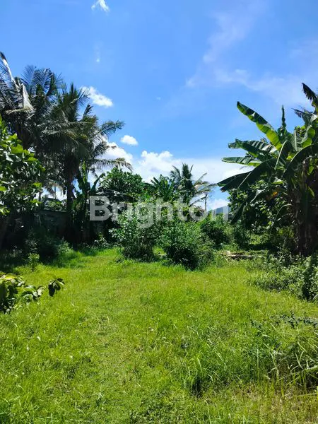 image TANAH KAVLING SHM KETAPANG BANYUWANGI  (3)