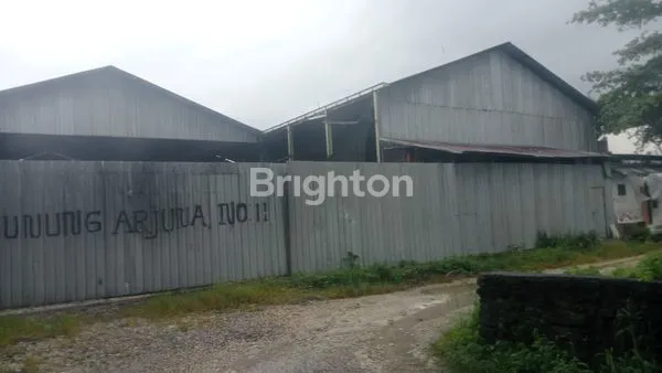 image SEWA GUDANG TEUKU UMAR BARAT  (1)