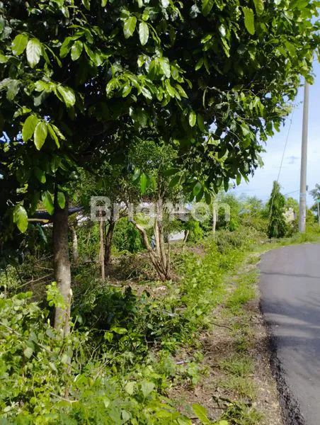 image TANAH GOA GONG JIMBARAN (3)