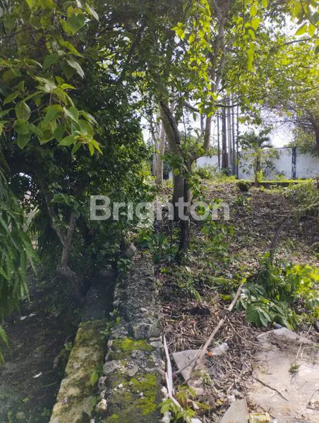 image TANAH GOA GONG JIMBARAN (2)