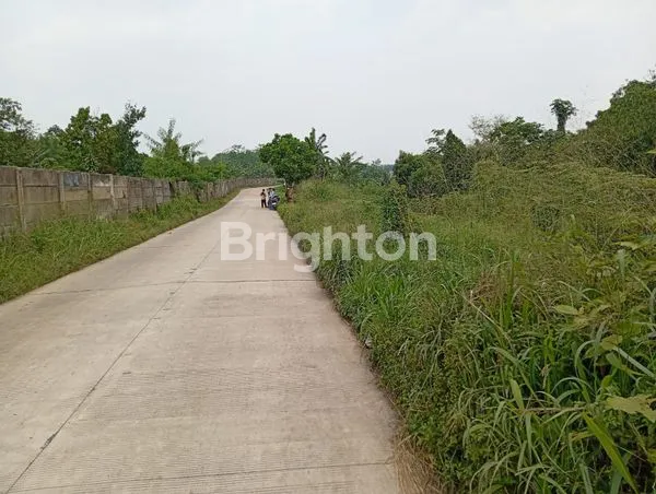 image TANAH LUAS 3.000M² DI GUNUNG SINDUR BOGOR, AKSES CONTAINER (2)