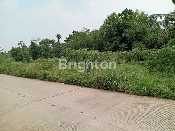 image TANAH LUAS 3.000M² DI GUNUNG SINDUR BOGOR, AKSES CONTAINER (1)