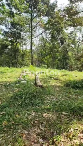 image TANAH STRATEGIS 5.500M², SHM, PINGGIR JALAN LINGKAR (1)