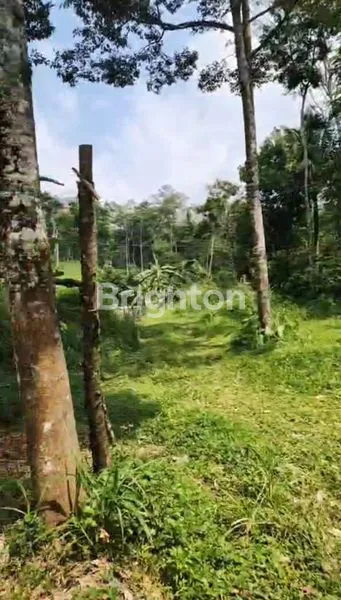 image TANAH STRATEGIS 5.500M², SHM, PINGGIR JALAN LINGKAR (2)