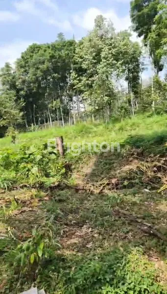 image TANAH STRATEGIS 5.500M², SHM, PINGGIR JALAN LINGKAR (3)