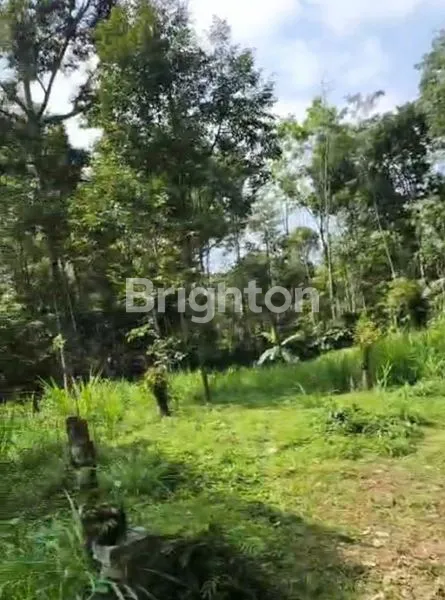 image TANAH STRATEGIS 5.500M², SHM, PINGGIR JALAN LINGKAR (4)