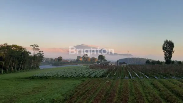 image DIJUAL TANAH PERTANIAN AKTIF BROMO PASURUAN (7)