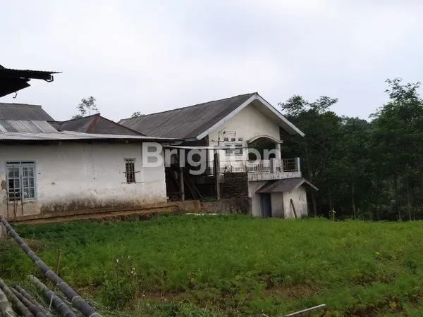 image DIJUAL TANAH PERTANIAN AKTIF BROMO PASURUAN (4)