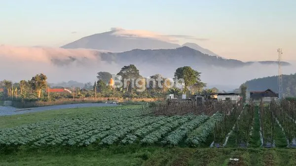 image DIJUAL TANAH PERTANIAN AKTIF BROMO PASURUAN (3)