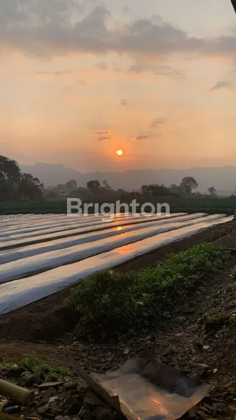 image DIJUAL TANAH PERTANIAN AKTIF BROMO PASURUAN (1)