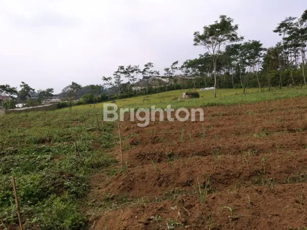 image DIJUAL TANAH PERTANIAN AKTIF BROMO PASURUAN (8)