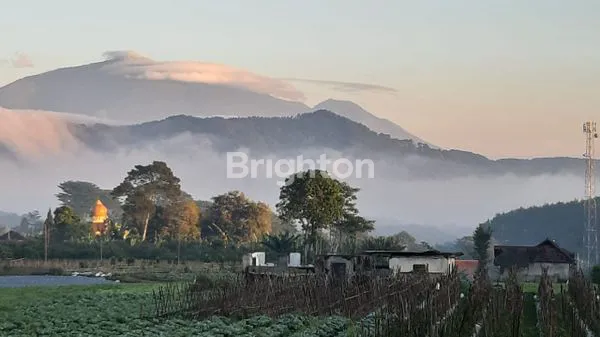 image DIJUAL TANAH PERTANIAN AKTIF BROMO PASURUAN (6)