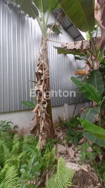 image DISEWAKAN GUDANG AREA BALIKPAPAN UTARA  (4)