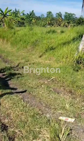 image TANAH DIJUAL BUC DI JEMBRANA (5)