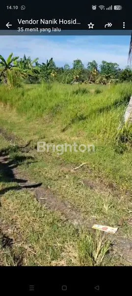 image TANAH DIJUAL BUC DI JEMBRANA (7)