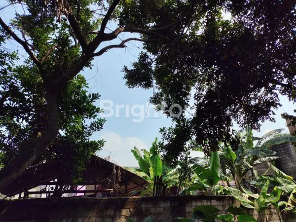image TANAH/ KAVLING SEBELAH GRAND LUCKY/ RANS BSD, PAGEDANGAN (3)