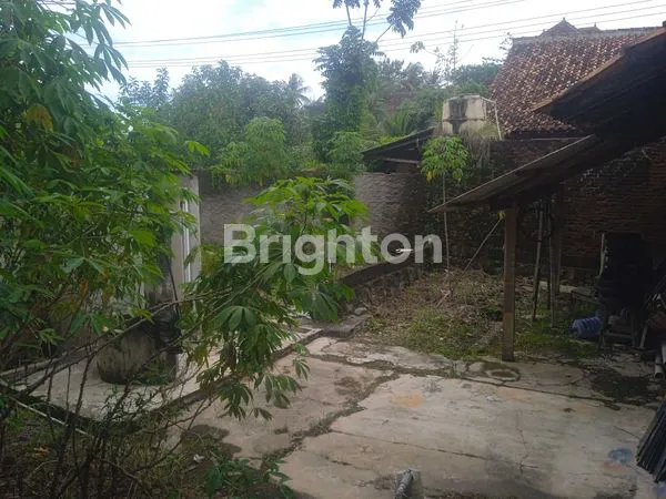 image TOKO DI JLN. MERDEKA, BANJAR REJO, BATANG HARI, LAMPUNG TIMUR, LAMPUNG (7)