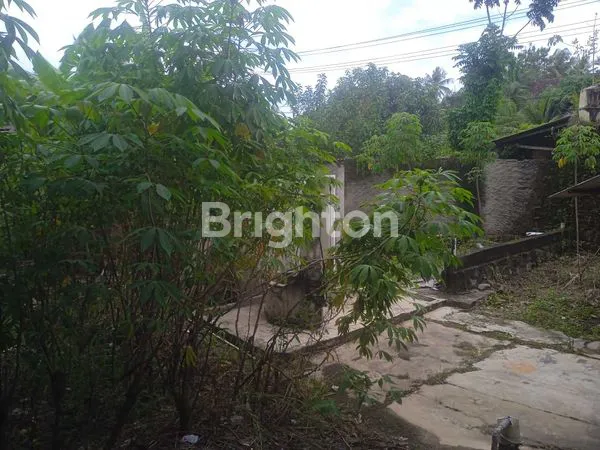 image TOKO DI JLN. MERDEKA, BANJAR REJO, BATANG HARI, LAMPUNG TIMUR, LAMPUNG (6)