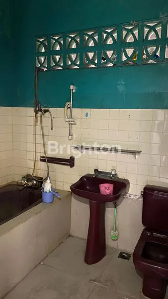 image KEBUN SAYUR RUMAH SUDAH KOSONG TINGGAL DI ISI LAGI (7)