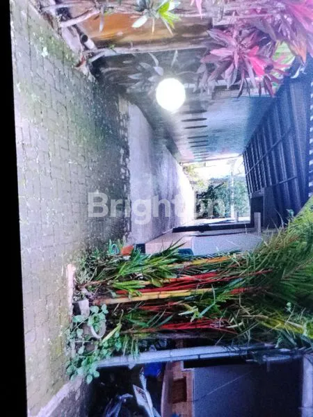 image RUMAH ASRI 4KT + KOLAM IKAN & KEBUN DI PURWOKERTO (3)