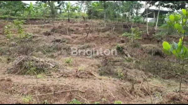 image DIJUAL LAHAN TANAH DI BOGOR (1)