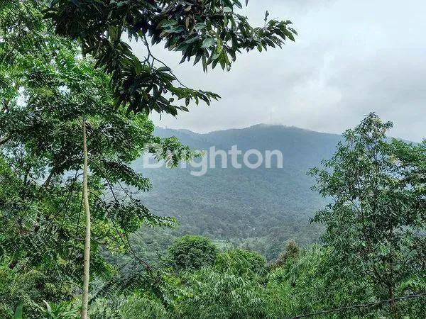 image DIJUAL LAHAN TANAH DI BOGOR (2)