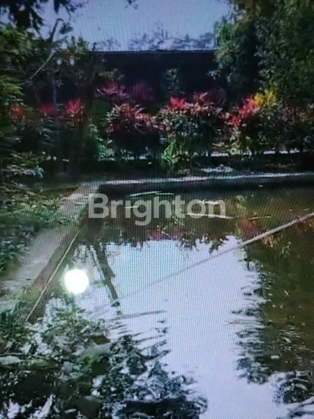 image RUMAH ASRI 4KT + KOLAM IKAN & KEBUN DI PURWOKERTO (8)