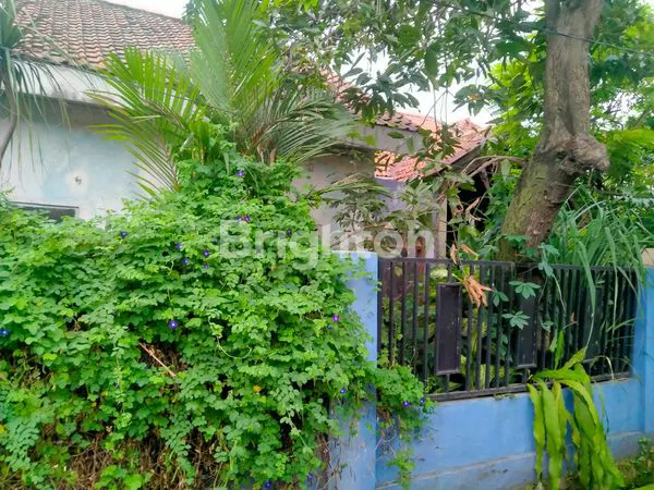 image RUMAH DIJUAL  (2)