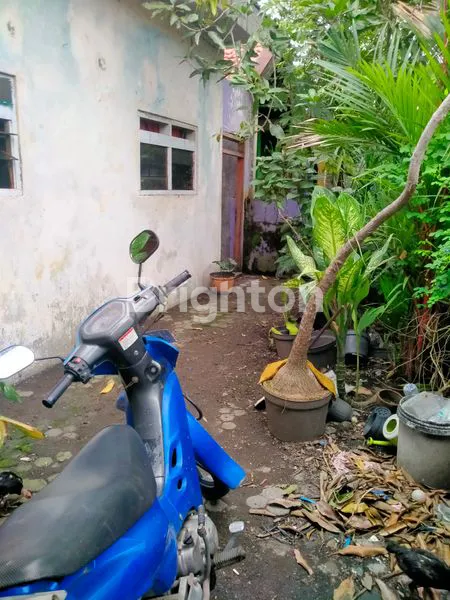 image RUMAH DIJUAL  (4)