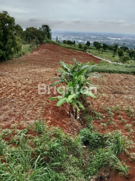 image TANAH LUAS 5 HEKTAR DI SENTUL, COCOK INVESTASI (3)